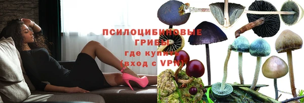 круглые Аркадак